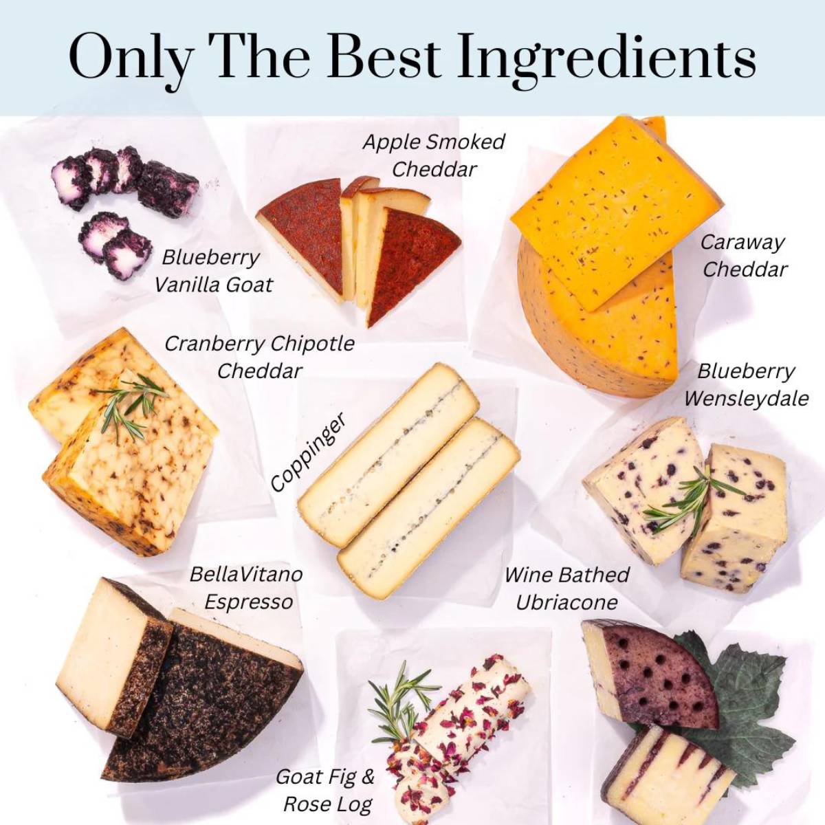 artisan cheese board